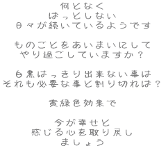ƂȂ
        ςƂȂ XĂ悤ł ̂Ƃ܂ɂ ߂Ă܂H ͂oȂ
        KvȎƊ؂΁H ΐFʂ K S߂ ܂傤 
